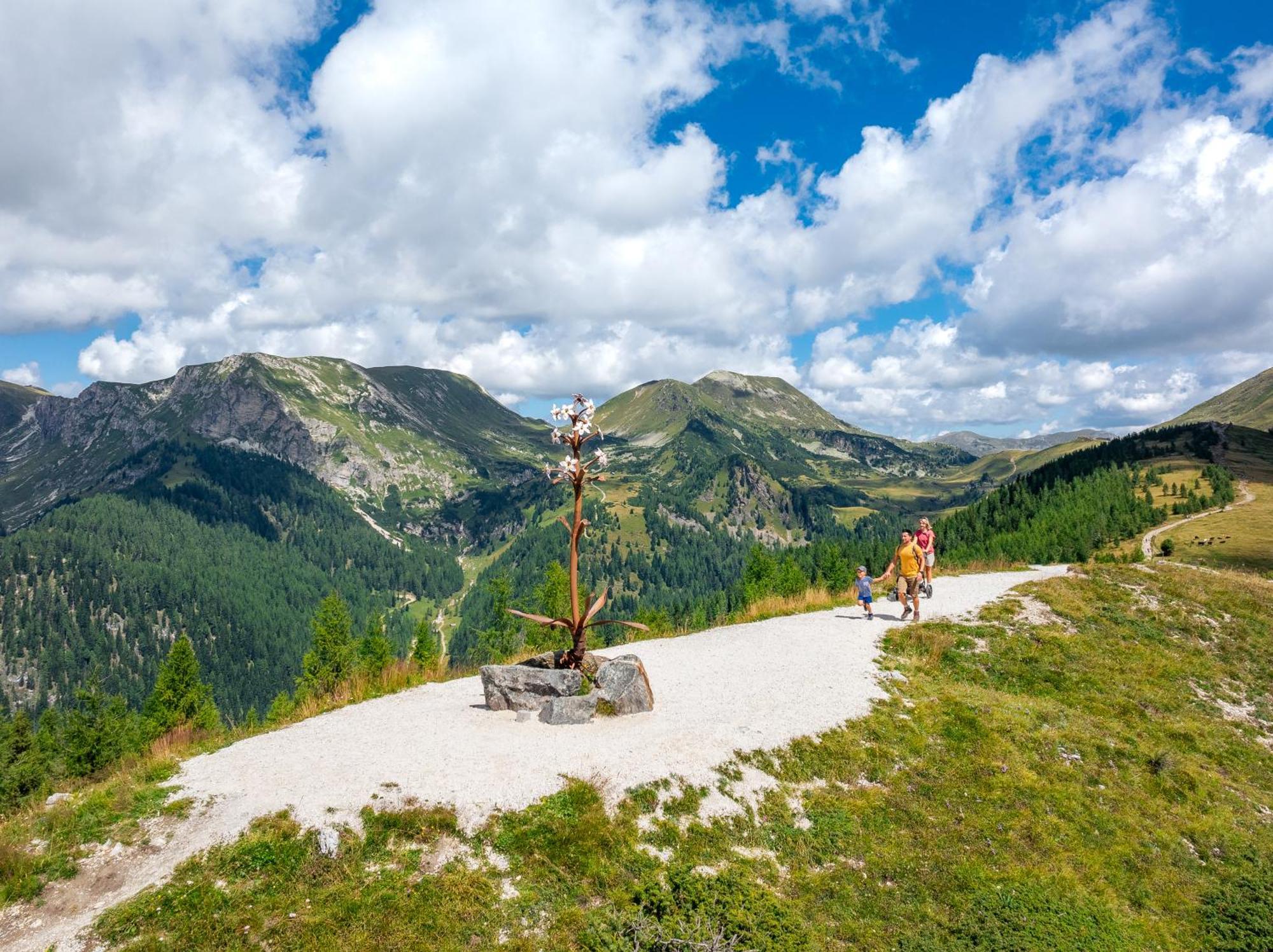 Residence Alba Montis Bad Kleinkirchheim Εξωτερικό φωτογραφία